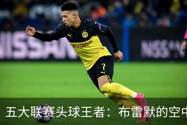 五大联赛头球王者：布雷默的空中争霸战！